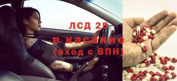 a pvp Каменногорск