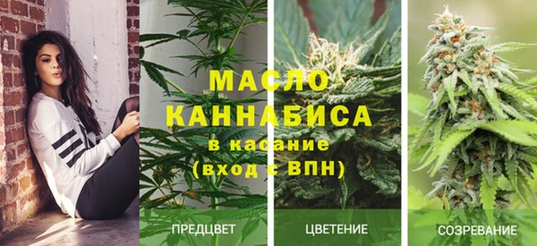 a pvp Каменногорск