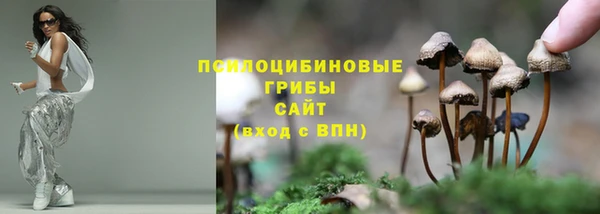 a pvp Каменногорск