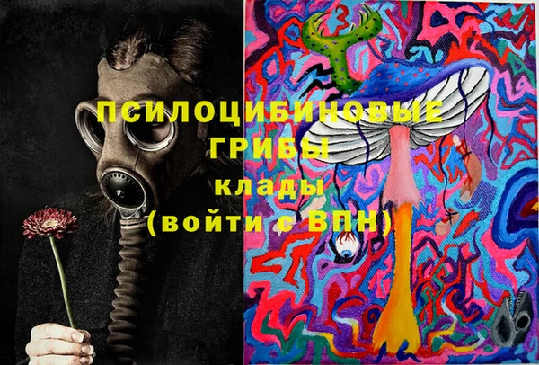 a pvp Каменногорск