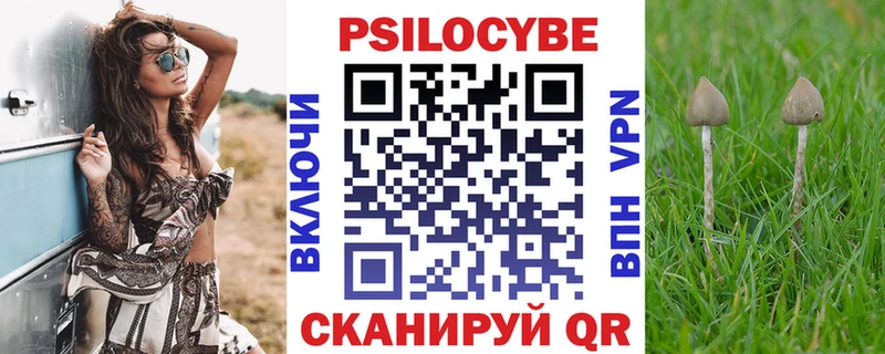 Псилоцибиновые грибы GOLDEN TEACHER  Купить где  Никольск 